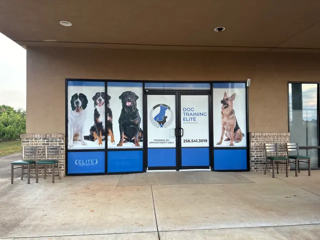 Full window graphics Dog training storefront
